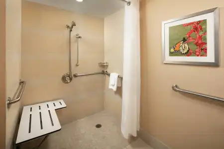 Holiday Inn AUSTIN-TOWN LAKE by IHG - 8