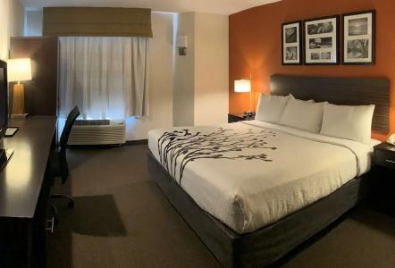 Sleep Inn Phoenix North I-17 - 58