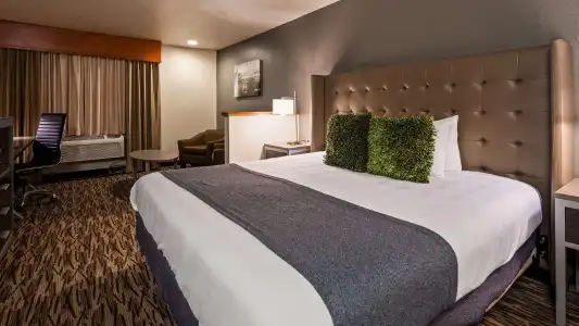 Best Western Plus Peppertree Airport Inn - 51
