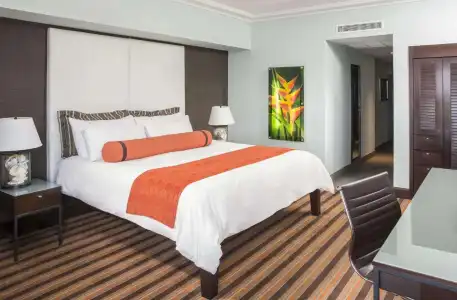The Palms & Spa - 16
