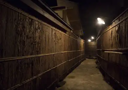 Yufuin Rakuyu - 14