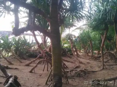 Ravana - Beach - 22