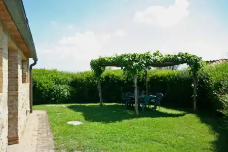 Podere il Pino - 158