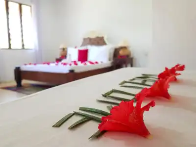 Ora Resort White Rose - 11