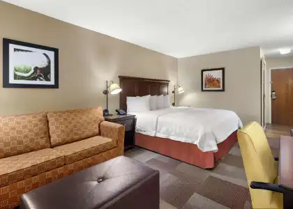 Hampton Inn Dallas-Irving-Las Colinas - 61