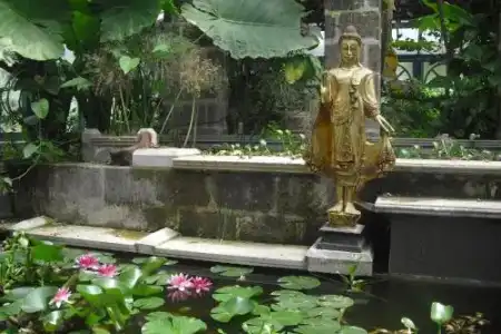 La Gallina Felice B&B - 5