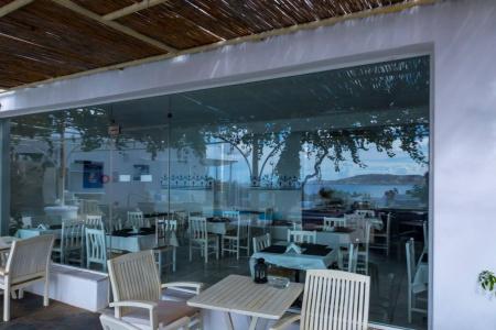 Rhenia Mykonos - 17