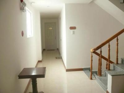 Rex and Apartment - 14