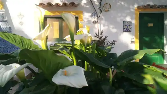 A due passi dal mare - 75