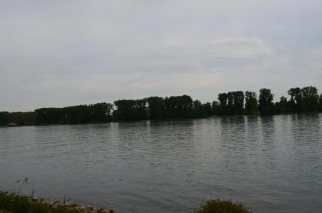 Zwei Raben Pension - 14