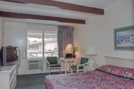 Golden Host Resort - Sarasota - 1