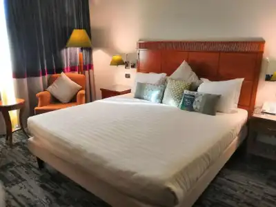 Mercure Rome Leonardo da Vinci Airport - 53