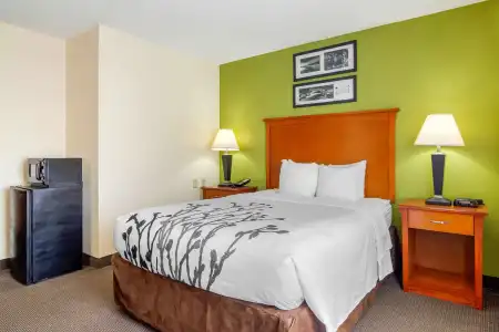 Sleep Inn Macon I-75 - 5