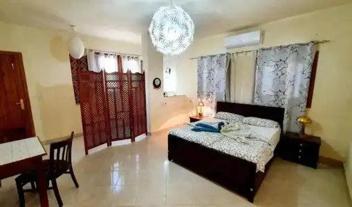 Nile Compound - 35