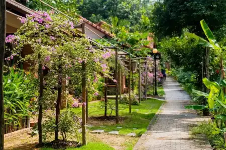The Garden House Phu Quoc Resort - 322