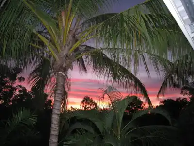 Palmerston Sunset Retreat - 7