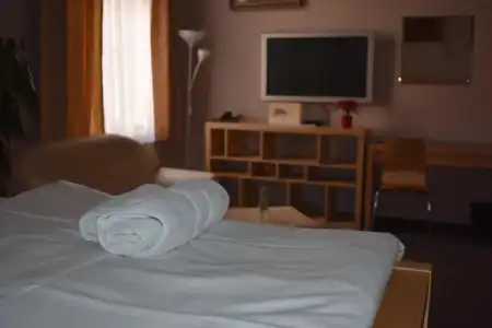 Zlata Stika - 33