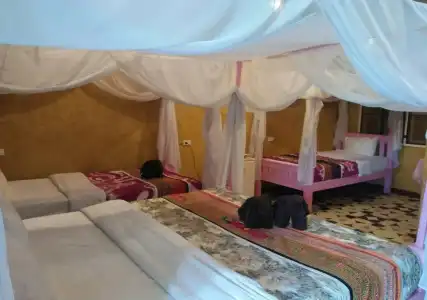 Orchid Hibiscus Guest House - 2