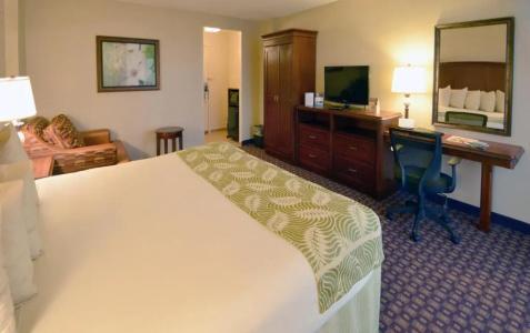 Rosen Inn, closest to Universal - 62