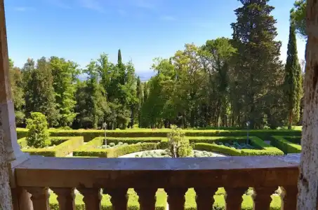 La Collegiata - 78