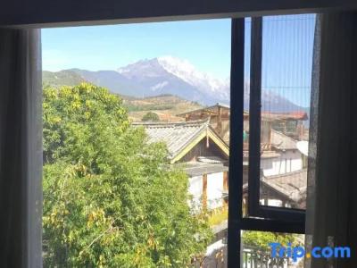 Conifer Lishui Sunlight - 29