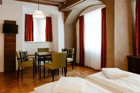 Hotel-Gasthof Goldener Greifen - 32