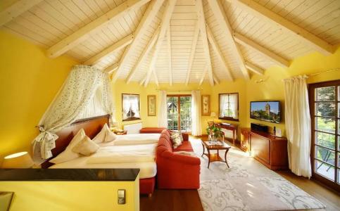 Rebstock Durbach - 5