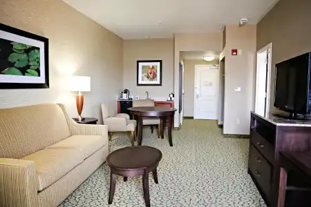 Hilton Garden Inn St. George - 82