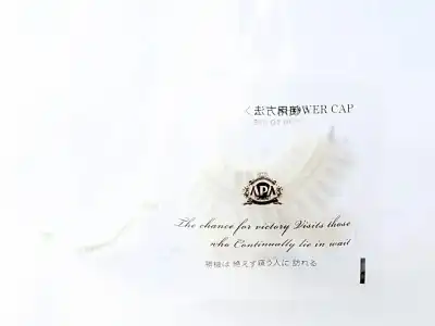APA Nagatacho Hanzomon Ekimae - 31