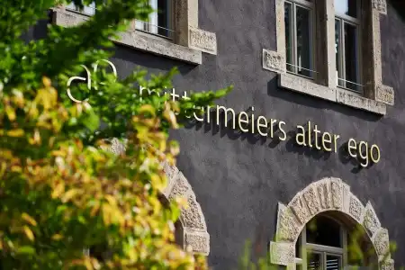 Mittermeiers Alter Ego - 0