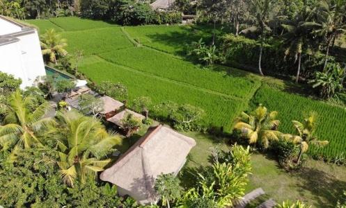 Byasa Ubud - 45