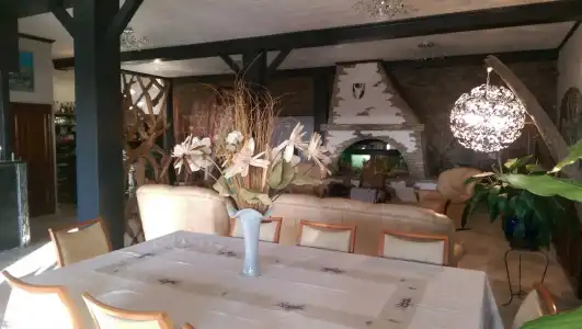 Hôtel Le Dauphin Bleu - 19