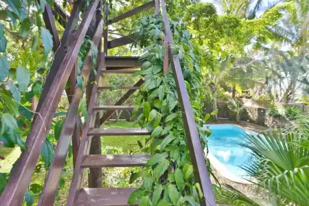 Tree Lodge Mauritius - 2