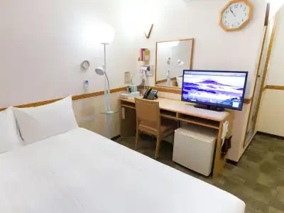 Toyoko Inn Higashi Hiroshima Station - 61