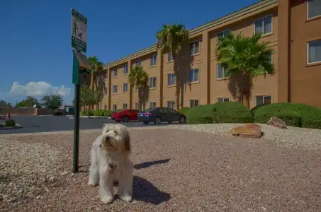 Holiday Inn Express Las Vegas-Nellis by IHG - 28