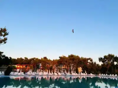 Divjaka Resort - 1