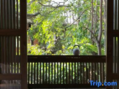 My Love Inn - 151