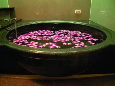 Bali An Resort Shinjuku Island - Adults only - 16