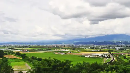 Furano Bell Hills - 14