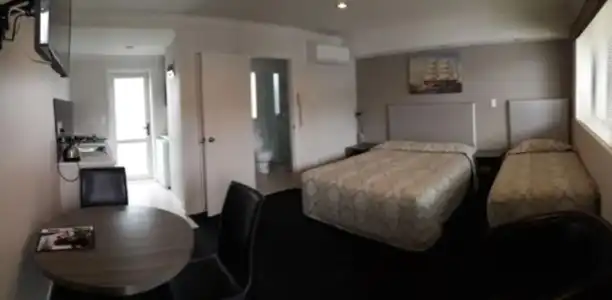 Auckland Phoenix Palm - 39