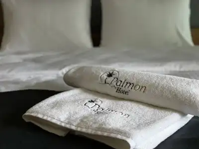 Palmon - 11
