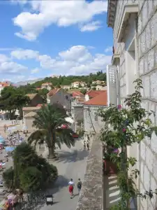 Glavović - 5