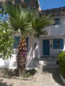 Misket Bodrum - 6