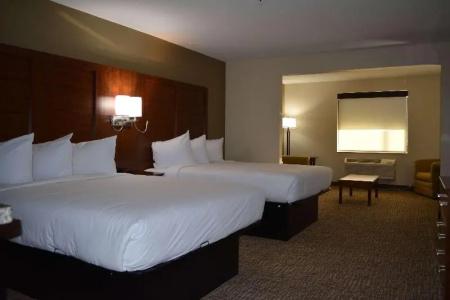 Wingate by Wyndham College Station South - 124
