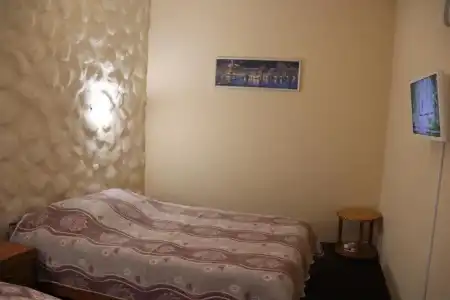Leo - 17