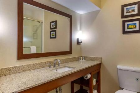 Comfort Suites Raleigh Walnut Creek - 63