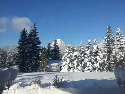 WaldSeefeld - 27