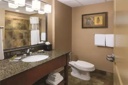 Wyndham Bloomington - Mall of America - 65