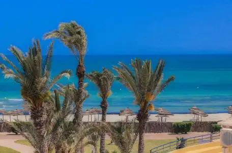 Aljazira Beach & Spa  -  Families and Couples Only - 58