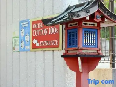 Pension Cotton 100% - 49